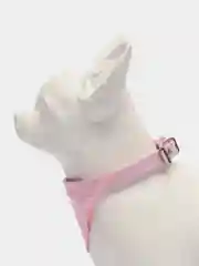 Бордовый ошейник для кошек и собак