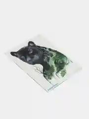Коричневый временные татуировки "Волк, лиса, тигр,пантера", 21*15 см