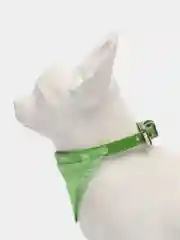Бордовый ошейник для кошек и собак