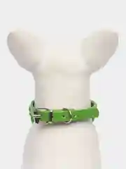 Бордовый ошейник для кошек и собак