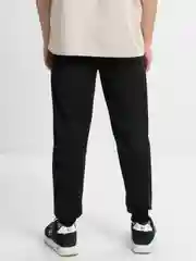 Хром брюки мужские, спортивные, с начёсом и без начёса