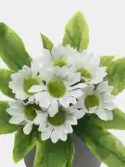 Белый искусственные цветы "Ромашки"