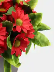 Красный искусственные цветы "Ромашки"