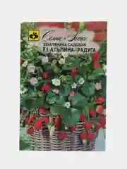 Семена земляники "Альпина Радуга F1", 10 штук