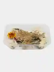 Белый сухоцветы для заливки эпоксидной смолы, в контейнере