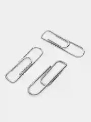 Скрепки STAFF EVERYDAY, 22 мм, 28 мм, металлические, 100 шт