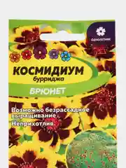 Семена цветов Космидиум однолетняя "Брюнетка", 0,01 г