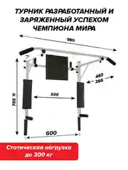 Турник Absolute Champion Прогресс белый разборный Aktiv 3 в 1, 300 кг. Турник на стену