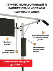 Турник Absolute Champion Прогресс белый разборный Aktiv 3 в 1, 300 кг. Турник на стену