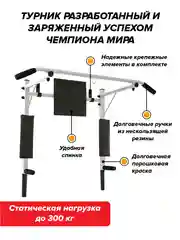 Турник Absolute Champion Прогресс белый разборный Aktiv 3 в 1, 300 кг. Турник на стену