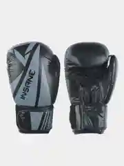 Перчатки боксерские INSANE ARES IN22-BG300, кожа