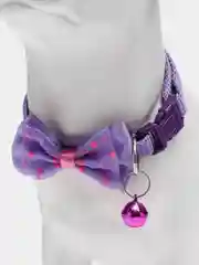 Аметистовый ошейник для кошек и собак