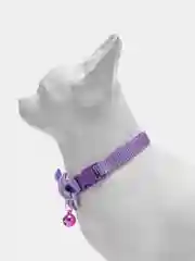 Аметистовый ошейник для кошек и собак