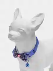 Бежевый ошейник для кошек и собак