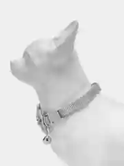 Белый ошейник для кошек и собак