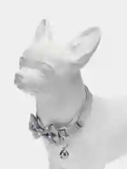 Белый ошейник для кошек и собак