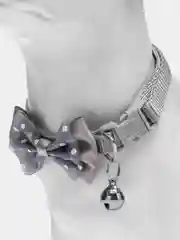 Белый ошейник для кошек и собак