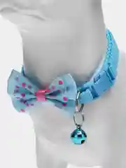 Бирюзовый ошейник для кошек и собак