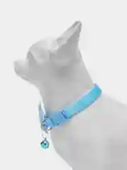 Бирюзовый ошейник для кошек и собак