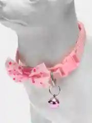 Бордовый ошейник для кошек и собак