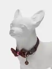 Бордовый ошейник для кошек и собак