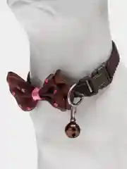 Бордовый ошейник для кошек и собак