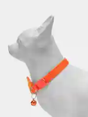 Вишнёвый ошейник для кошек и собак