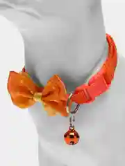Вишнёвый ошейник для кошек и собак