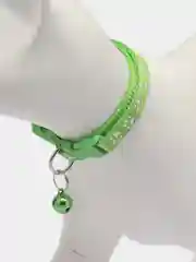 Лесной зеленый ошейник для кошек и собак с колокольчиком / ошейник с принтом "Лапки"