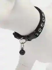 Фиолетовый ошейник для кошек и собак с колокольчиком / ошейник с принтом "Лапки"