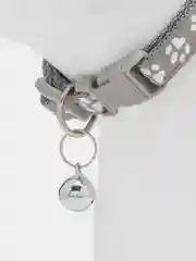 Серый ошейник для кошек и собак с колокольчиком / ошейник с принтом "Лапки"
