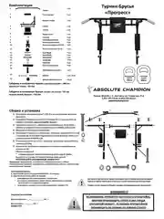 Турник Absolute Champion Прогресс черный усиленный, 300 кг. Турник настенный брусья пресс