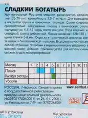 Семена Перец сладкий среднеспелый "Богатырь", 0,2 г