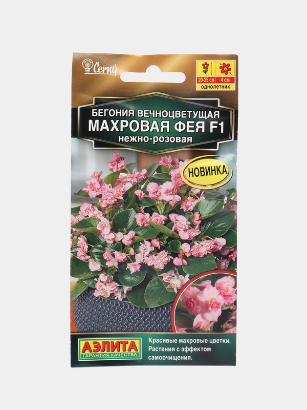 Бегония вечноцветущая махровая Фея F1 нежно-розовая