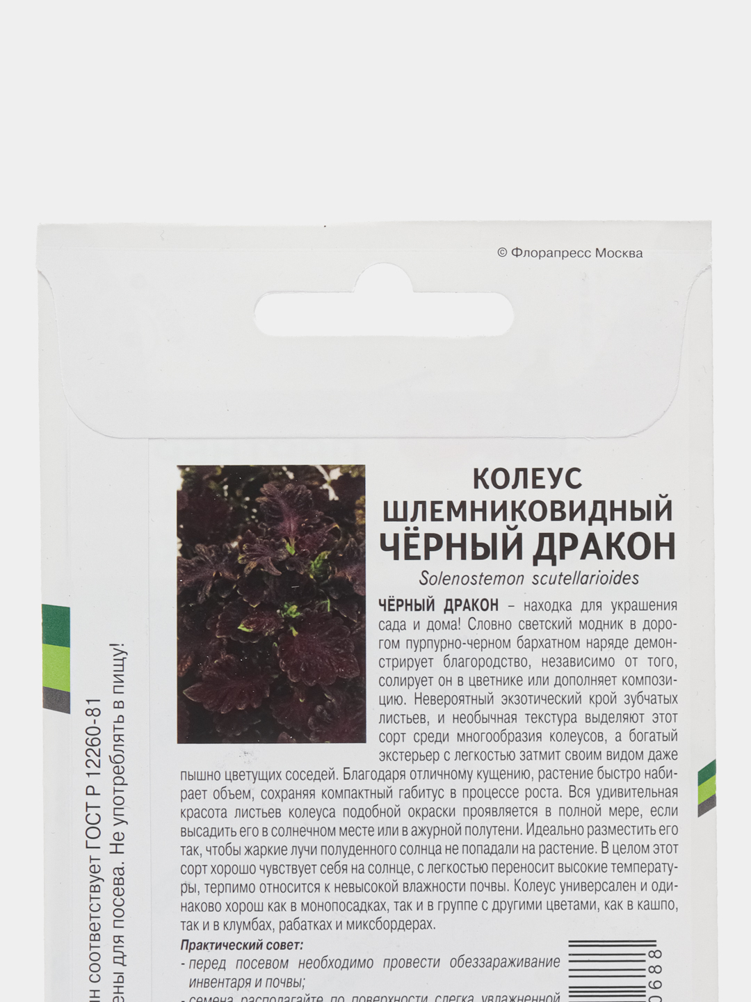 Колеус Черный дракон партнер (семена,цветы) купить по цене 119 ₽ в  интернет-магазине Магнит Маркет