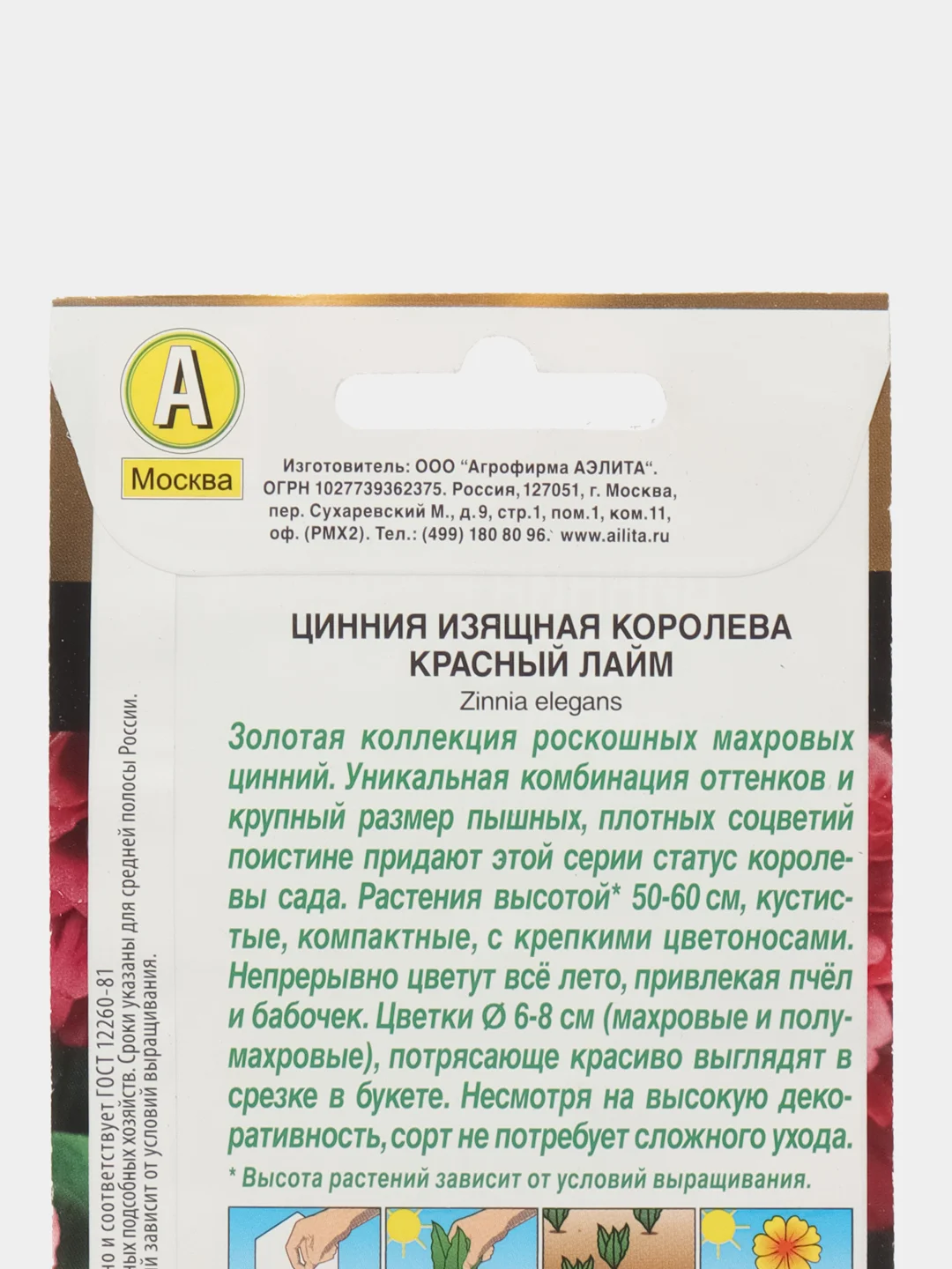 Цинния Королева красный лайм (семена,цветы)