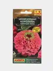 Цинния Королева красный лайм (семена,цветы)