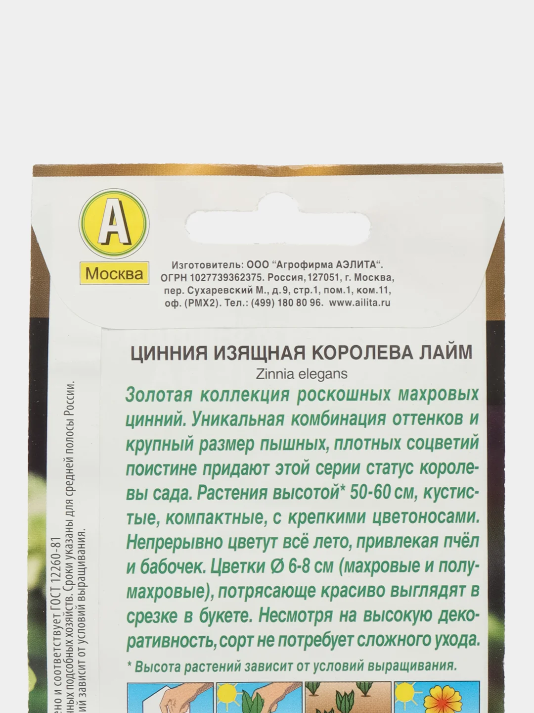 Цинния Королева лайм (семена,цветы)