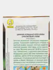 Цинния Королева оранжевый лайм (семена,цветы)