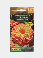 Цинния Королева оранжевый лайм (семена,цветы)