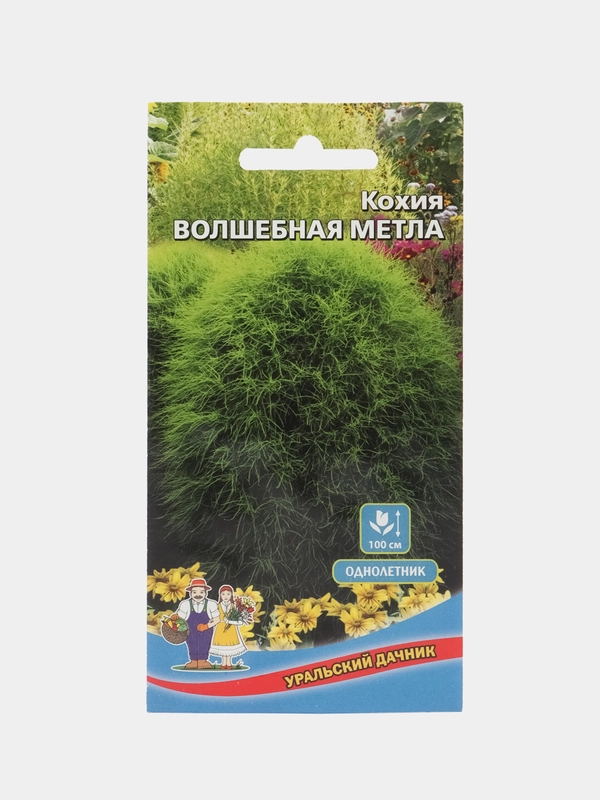 Кохия Волшебная метла (семена,цветы)