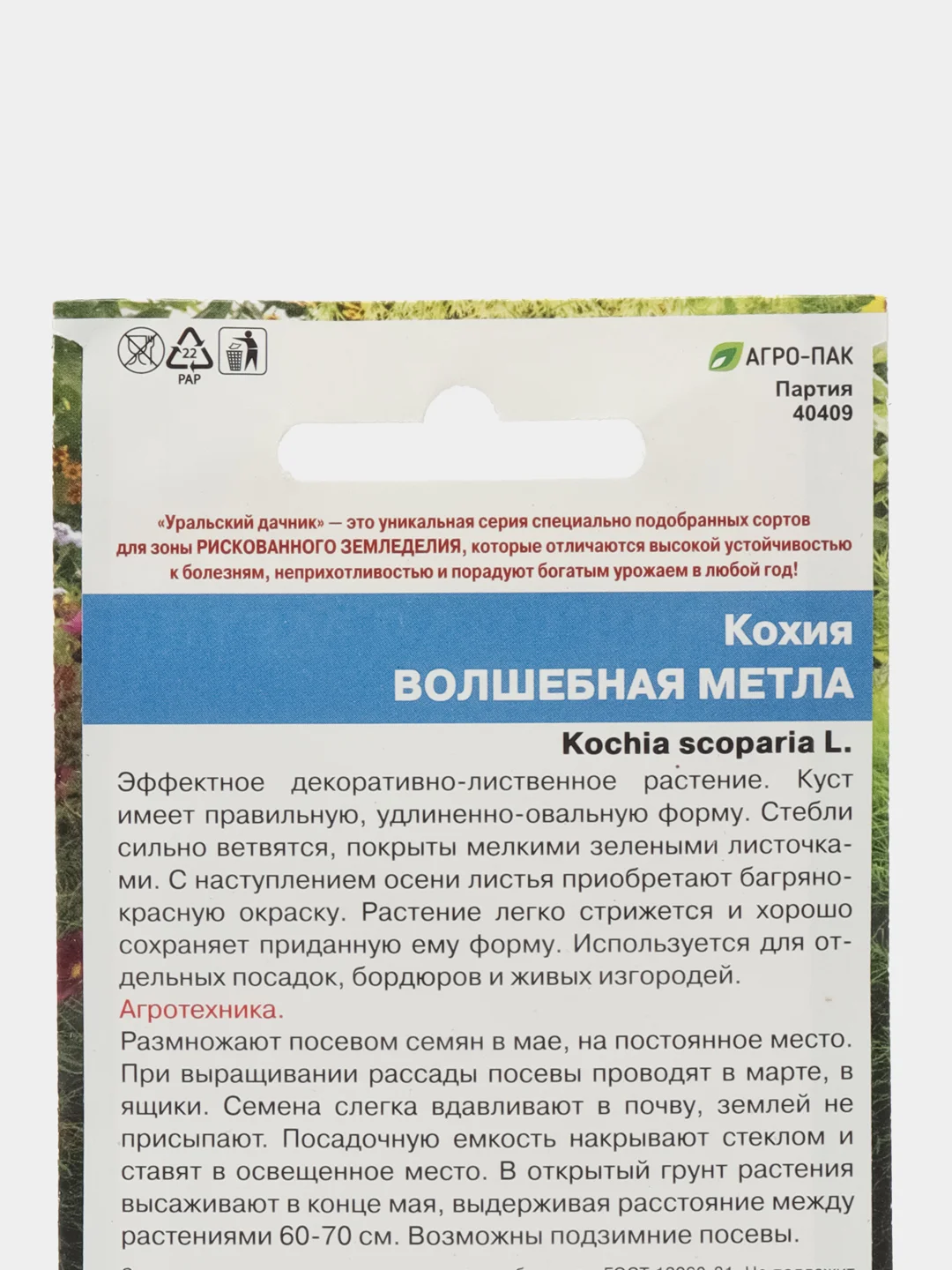 Кохия Волшебная метла (семена,цветы)