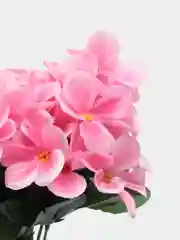 Конфетный фиалки искусственные