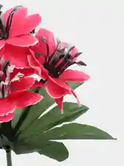 Розовый ветреница, букеты на пасху