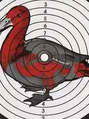 Мишень для стрельбы Remington "Утка" 50 штук