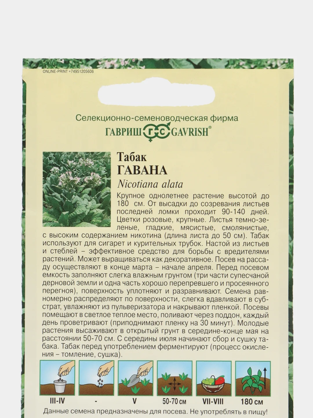 Семена ТАБАК ГАВАНА 0,01 гр. ООО"ГАВРИШ"