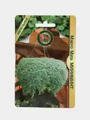 Семена Мята Миниминт МИКРОМЯТА
