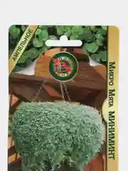 Семена Мята Миниминт МИКРОМЯТА