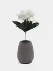 Белый фиалки искусственные