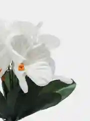 Белый фиалки искусственные